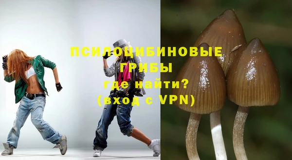 дурь Зеленокумск