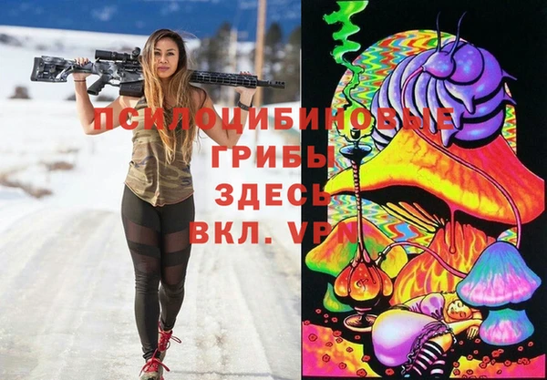дурь Зеленокумск